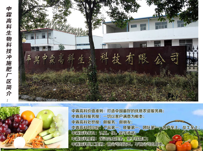 平輿中霖高科生物科技有限公司簡介